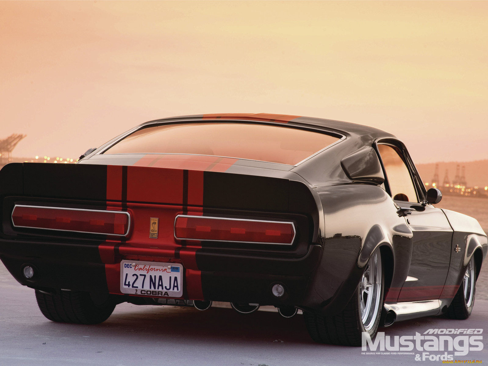 , mustang